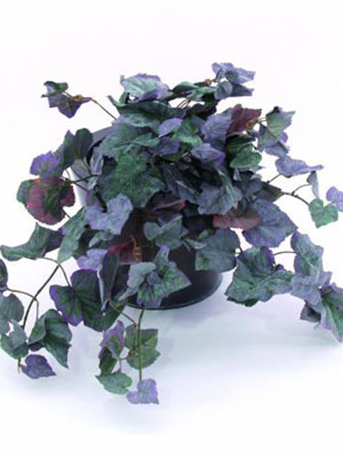 Weinerntebusch natur, 50cm