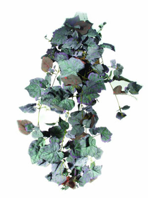 Weinerntebusch natur, 100cm