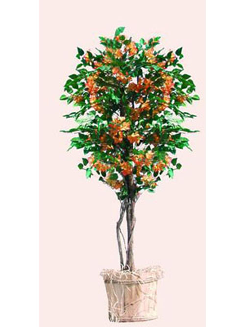 Bougainvillea, lachs, 180cm