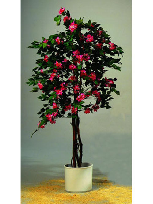 Bougainvillea, rot, 210cm