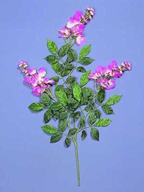 Bougainvillea Zweig 3fach, Bl�ten pink
