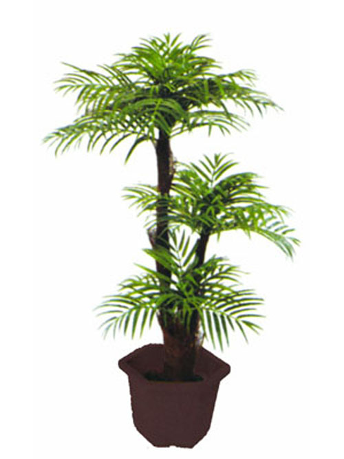 Areca Palme mit Baststamm, 120cm