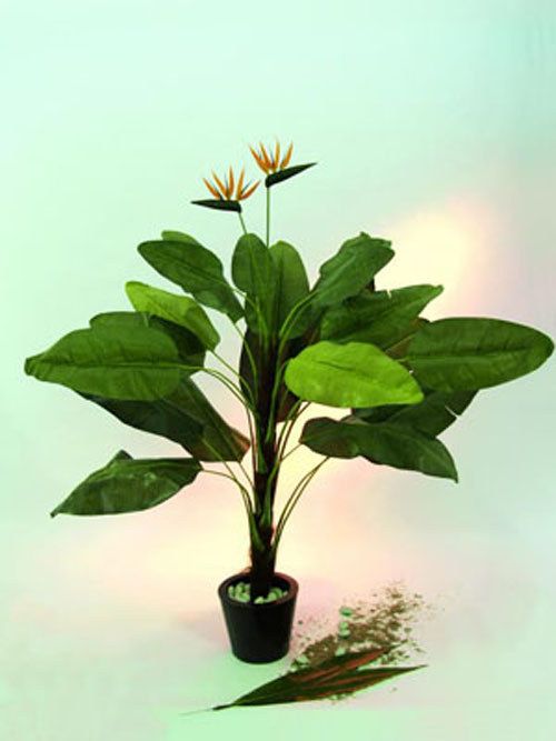 Tralizie, 230cm