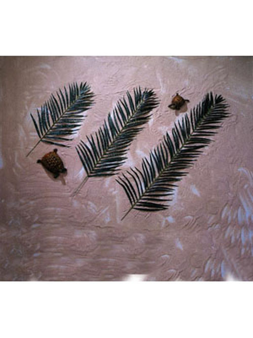 Cocos-Palmwedel, 12Stk., 80cm