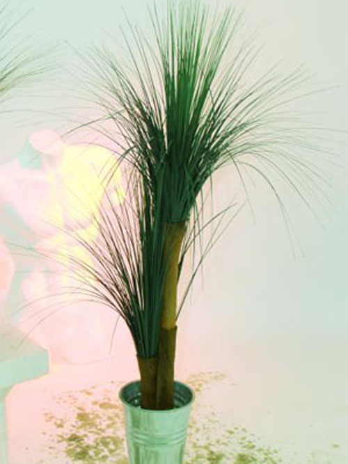 Graspalme mit Palmfaserst�mmen, 110cm