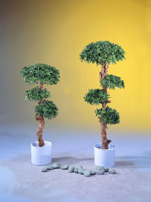 Bonsai-Palmenbaum, 180cm