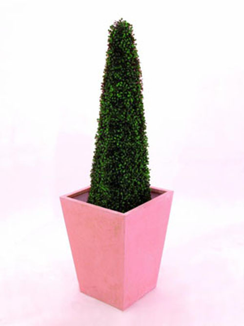 Buchsbaumpyramide, 136cm