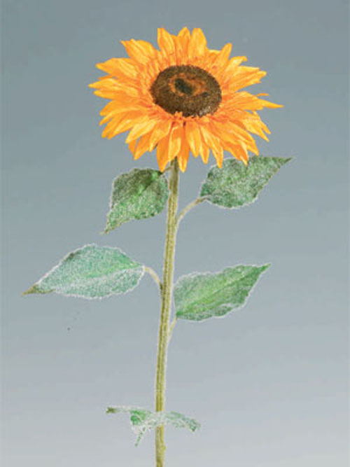 Sonnenblume gelb 77cm H�he