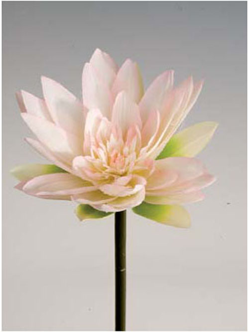 Lotos 70cm H�he creme