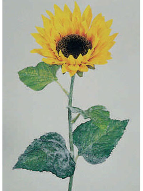 Sonnenblume 53cm H�he 14cm Durchmesser