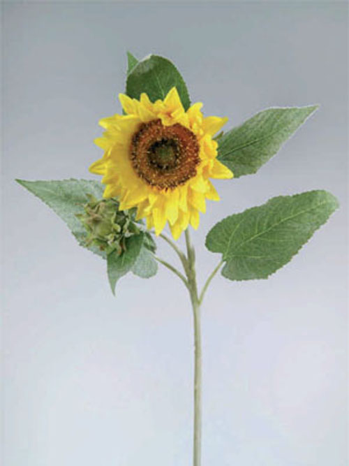 Sonnenblume 95cm H�he 20cm Durchmesser