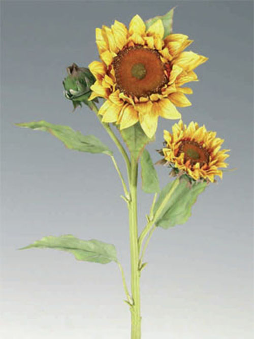 Sonnenblume Landhausstil 3 Bl�ten 90cm H�he