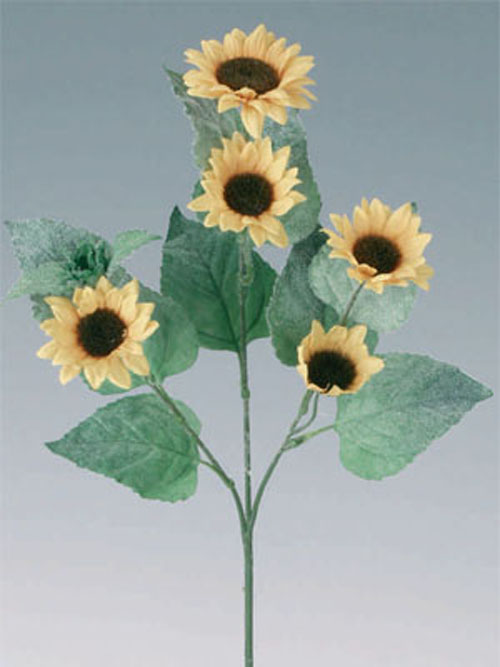Sonnenblume 5 Bl�ten 61cm H�he 7cm Durchmesser