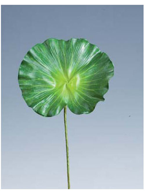 Lotos Blatt 71cm H�he 20cm Durchmesser gr�n