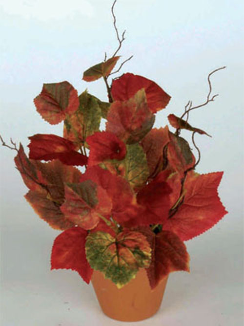Weinlaub Busch herbstliches Rot 32cm H�he ohne Topf