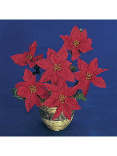 Poinsettia Busch 6 Bl�ten rot 32cm H�he ohne Topf