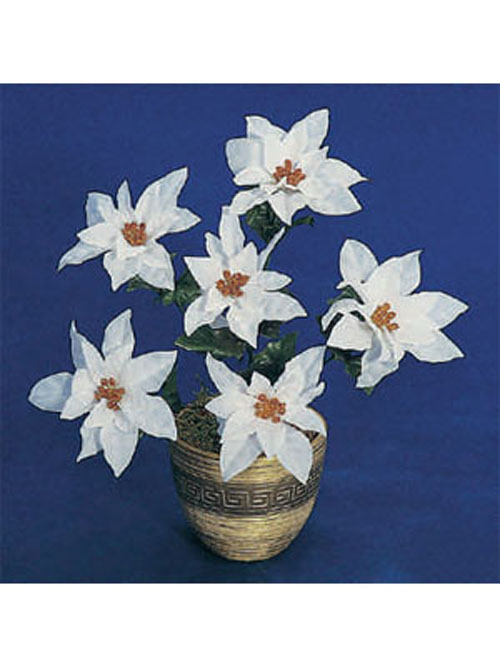 Poinsettia Busch 6 Bl�ten wei� 32cm H�he ohne Topf