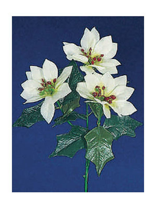 Poinsettia 3 Bl�ten creme 40cm H�he