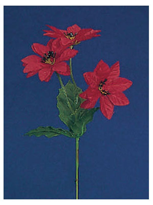 Poinsettia Mini Pick 3 Bl�ten rot 21cm H�he