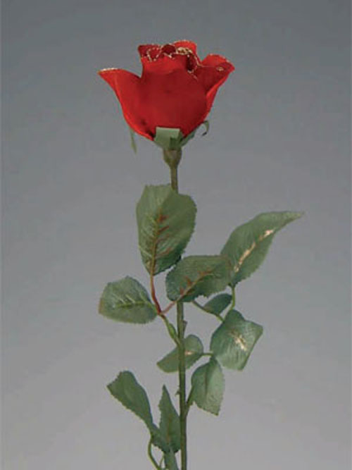 Rose Pr�sent mit Goldrand 64cm H�he rot