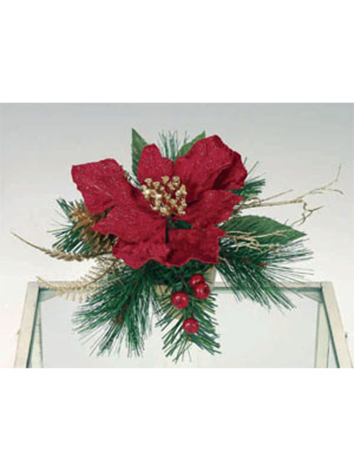 Arrangement Poinsettia im Goldtopf rot 9cm H�he