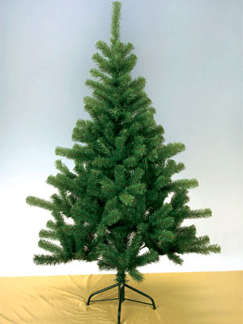 Tanne Promotional 65 Spitzen 60cm H�he tannengr�n